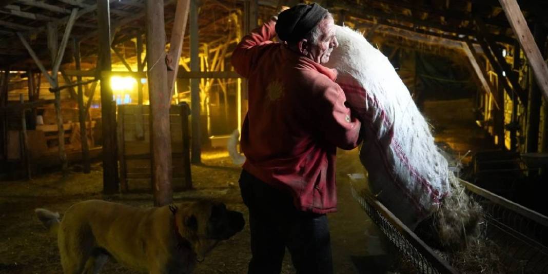 -25 derece ona engel değil: Kış zor olsa da 140 hayvanına gözü gibi bakıyor 5